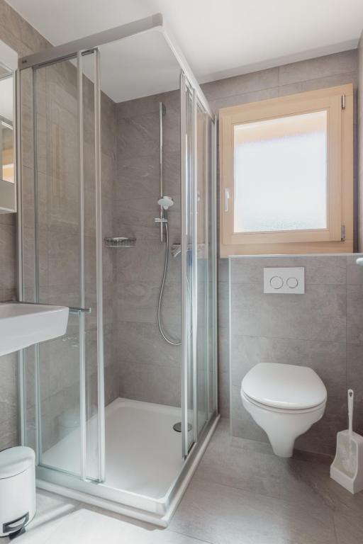 un bagno con doccia in vetro e WC di Studio à 2 minutes des remontées mécaniques a Grimentz