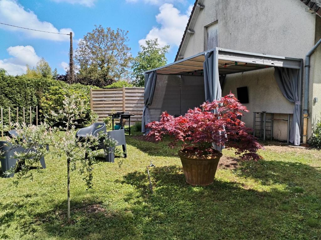 a garden with a building and a potted tree at Sur la route de Chambord in Muides-sur-Loire