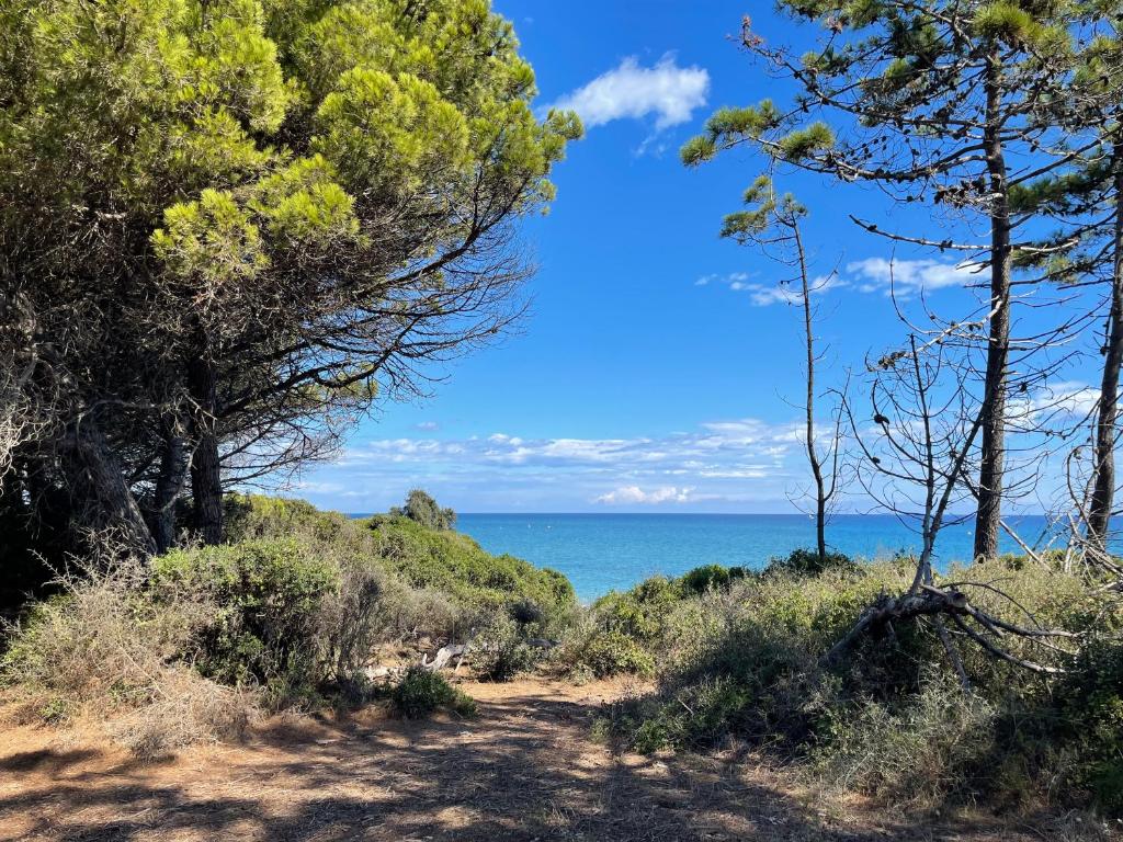 un chemin de terre avec des arbres et l'océan en arrière-plan dans l'établissement Appartement bord de mer T4 marina di bravonne N5-6, à Linguizzetta
