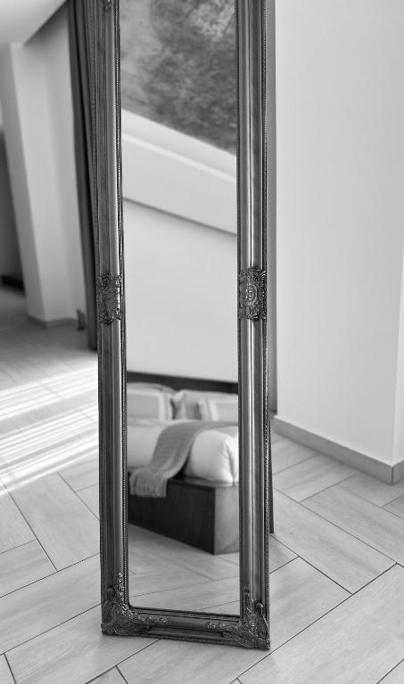 MASHTRA - The Olive House - 19