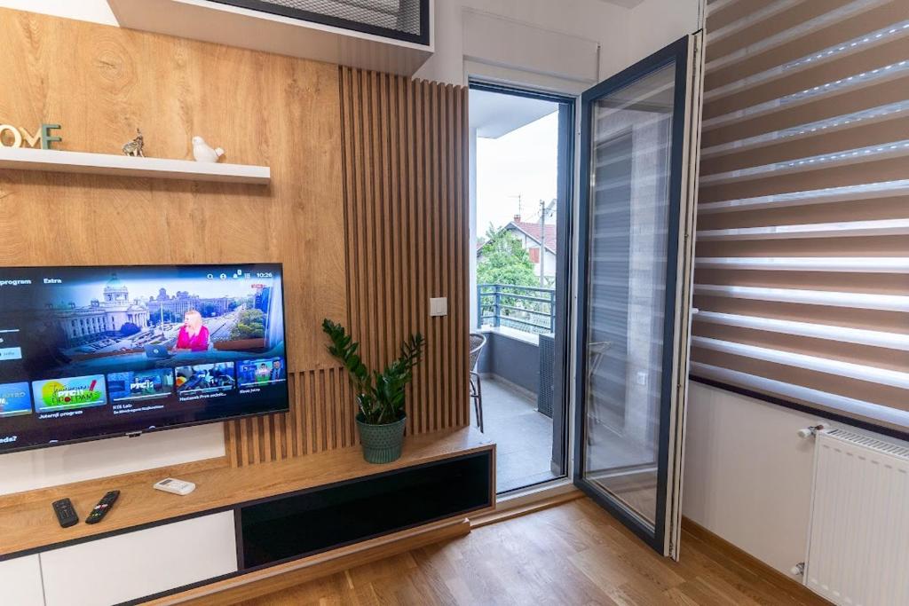 TV a/nebo společenská místnost v ubytování Apartman Kolarević