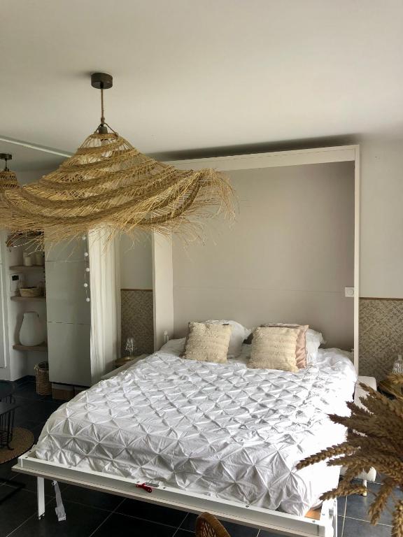 a bedroom with a large bed with a hanging canopy at Bella Cruz - Charmant appt à Dinard in Dinard