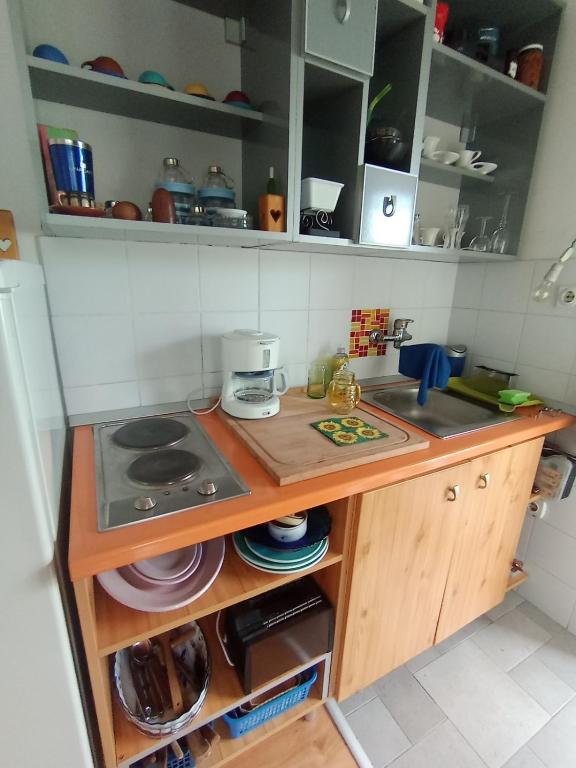 Kuchyň nebo kuchyňský kout v ubytování Studio beba