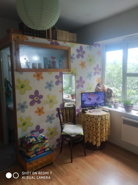 TV a/nebo společenská místnost v ubytování Studio beba