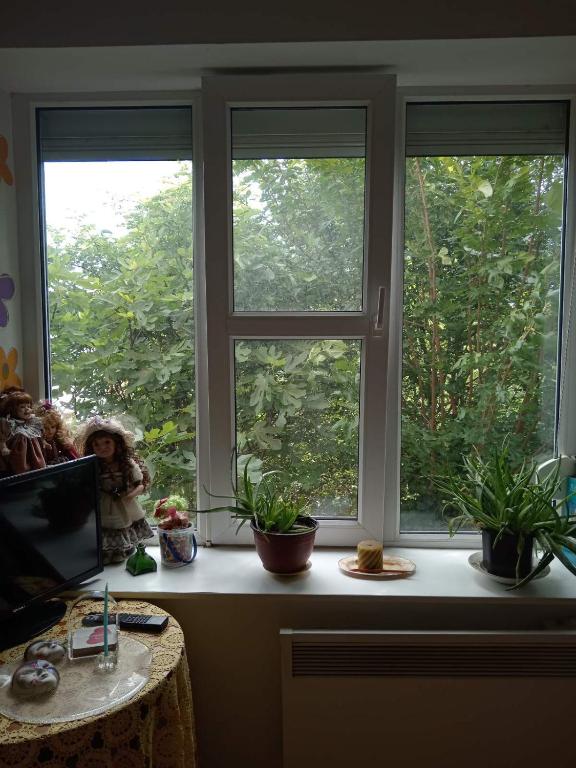 Zahrada ubytování Studio beba