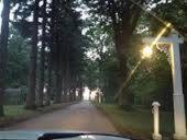 Michillinda Lodge Resort photo