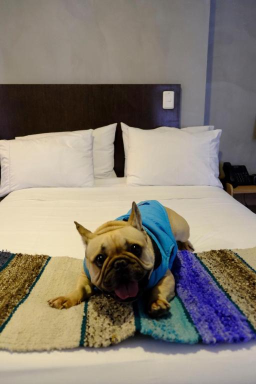 Postel nebo postele na pokoji v ubytování Hotel DC Feria