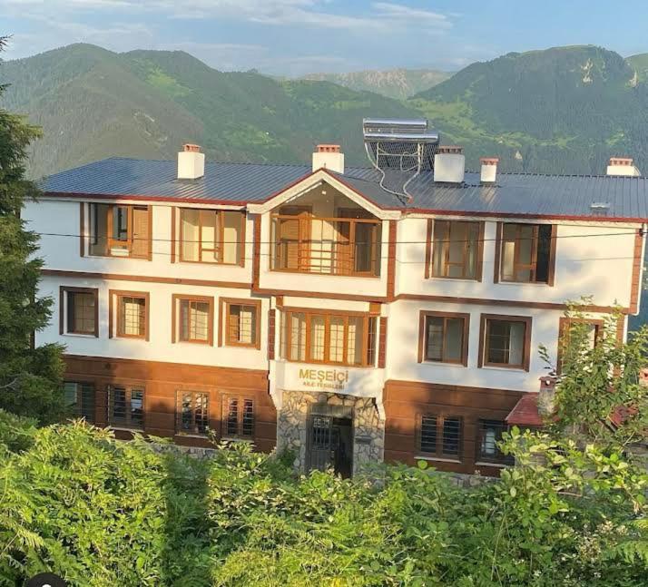 uma casa grande numa colina com montanhas ao fundo em MEŞEİÇİ BUTiK HOTEL em Macka