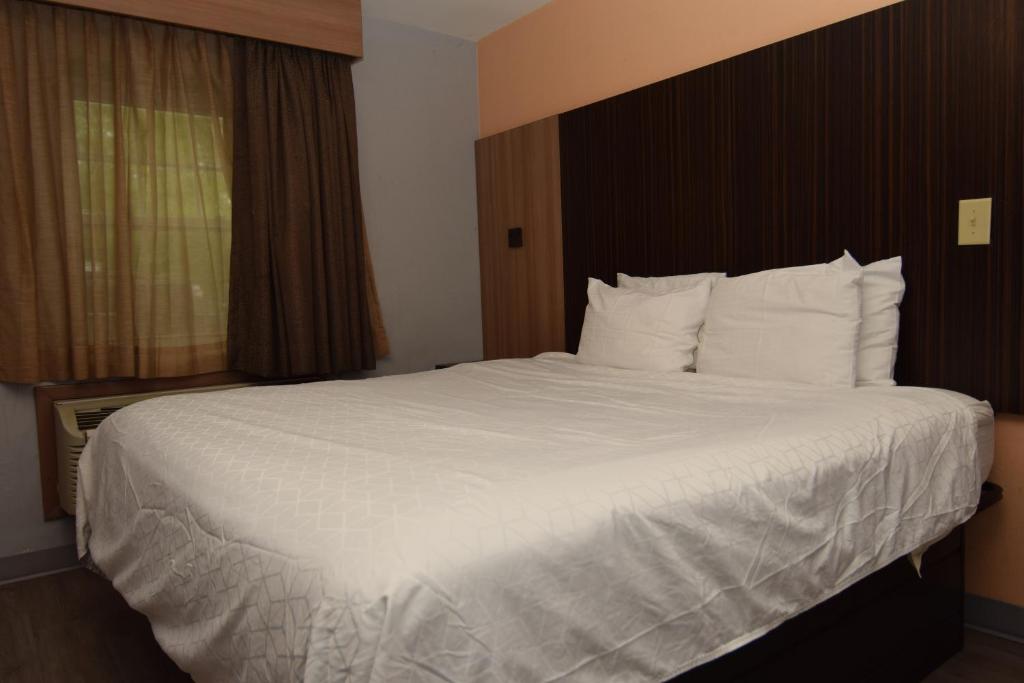 University Manor Inn - 王室 - 不吸烟