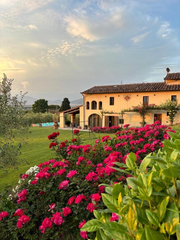 A garden outside Podere agli Arrighi