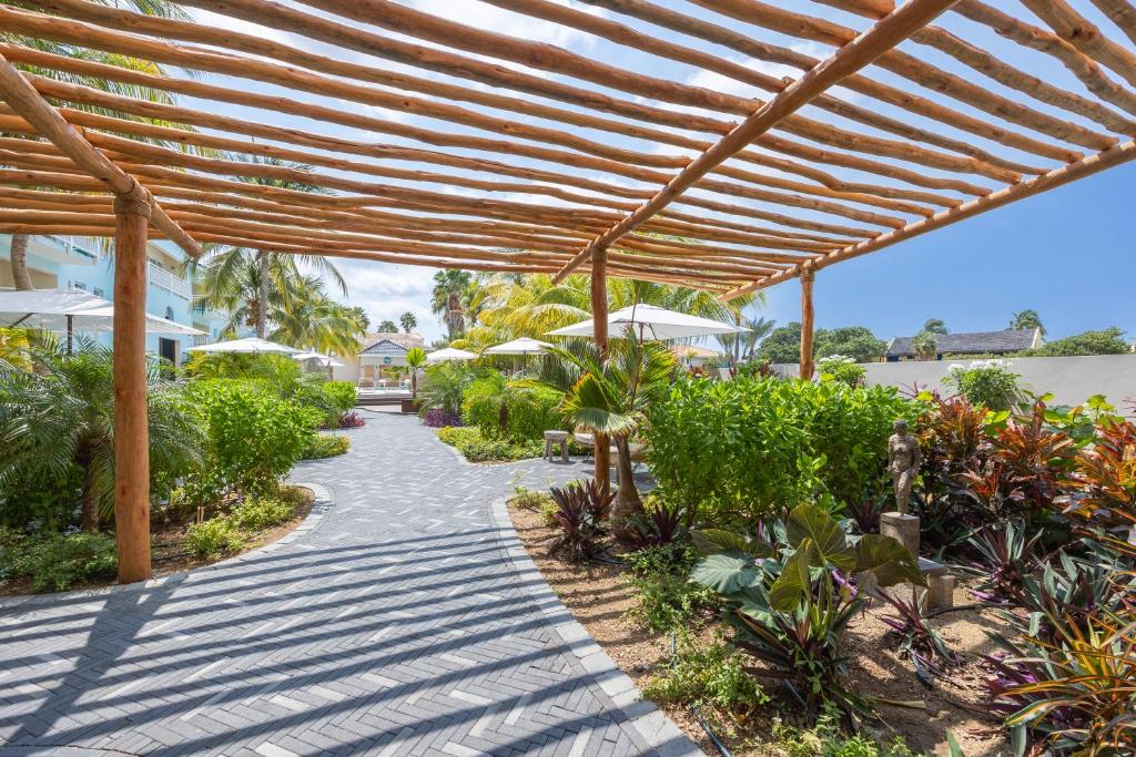 Zahrada ubytování Dolphin Suites & Wellness Curacao