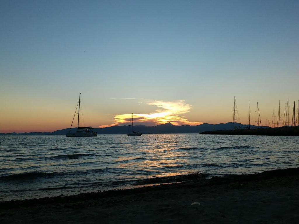 a group of boats in the water at sunset at Hostal Villa Maruja in El Arenal