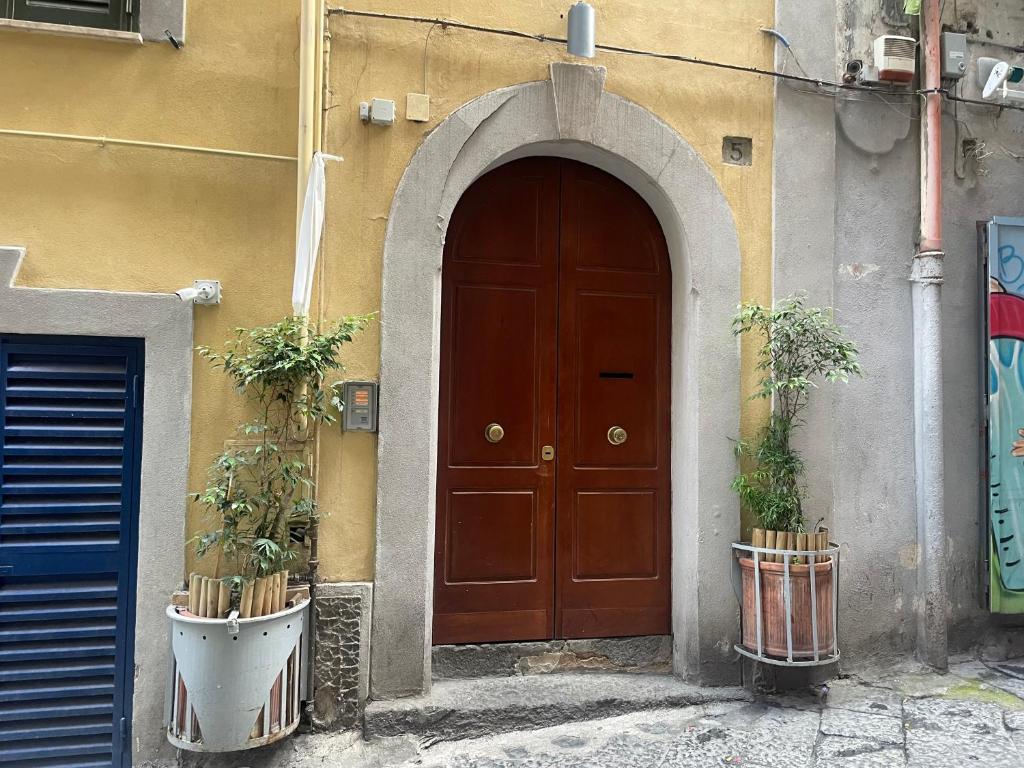 una porta marrone con due piante in vaso davanti di TOLEDO CENTER a Napoli