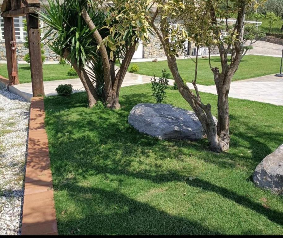 Giunganojungano relax的相册照片