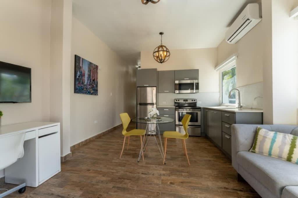 La Mona Loiza Apartment Complex by Stay with Bear - 1 Yatak Odalı Daire - Çatı Teraslı