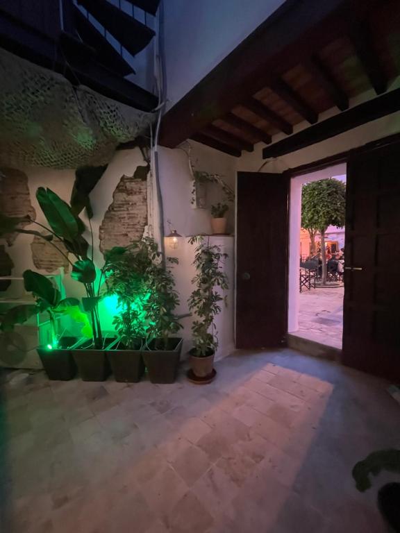 Fotografie z fotogalerie ubytování Arcos de Tarifa, Casco historico v destinaci Tarifa