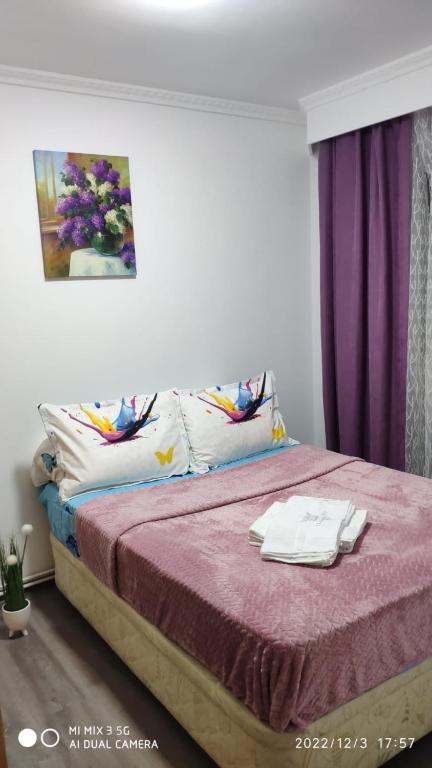 バイア・スプリエにあるApartDory 2camereのベッドルーム1室(ピンクの毛布付きのベッド1台付)