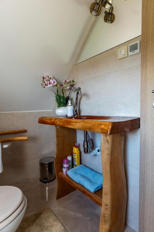 Koupelna v ubytování WeinSpitz - Wellness House