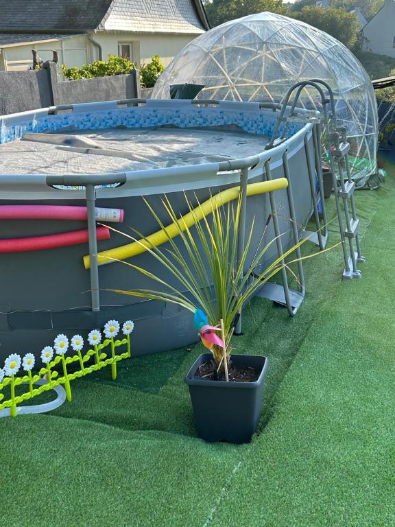 une plante dans un pot devant une piscine dans l'établissement Villa Brelevenez 7 chambres Spa Piscine Jardin, à Lannion