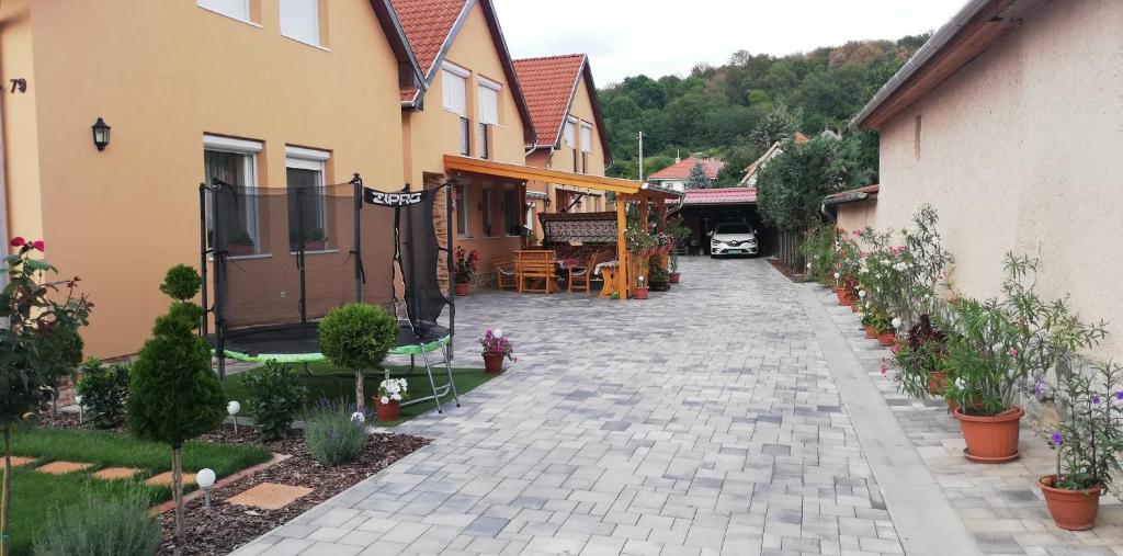 a courtyard of a house with plants and flowers at Ágica Vendégház in Andornaktálya