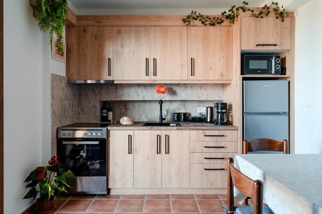 Kuchyň nebo kuchyňský kout v ubytování Poseidon Apartments