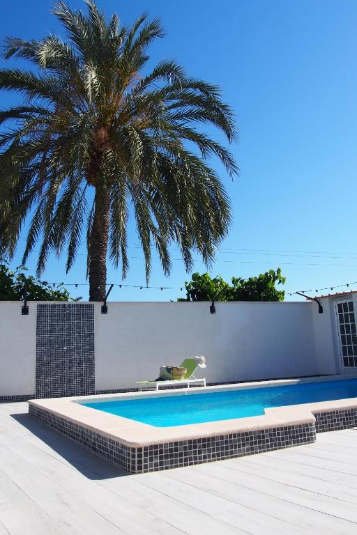 uma palmeira sentada ao lado de uma piscina em Casa Iantmar 2 em El Altet