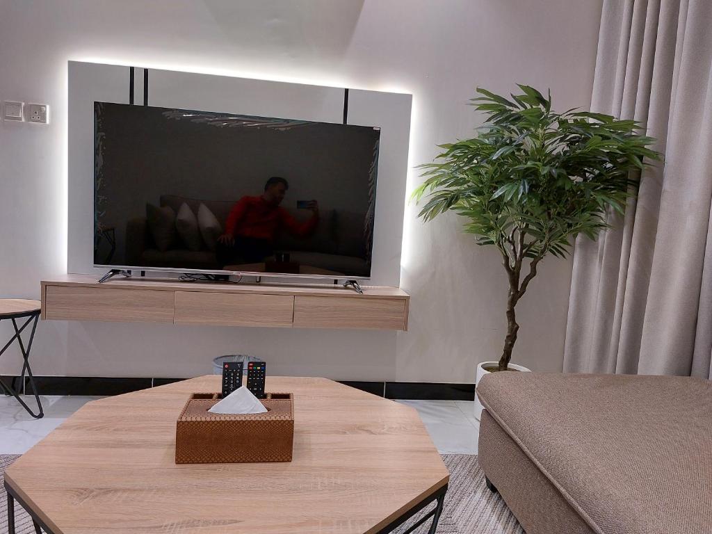 TV a/nebo společenská místnost v ubytování Elite House