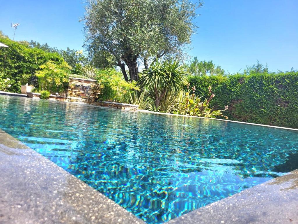 une piscine avec de l'eau bleue dans une cour dans l'établissement Villa in Biot, à Biot