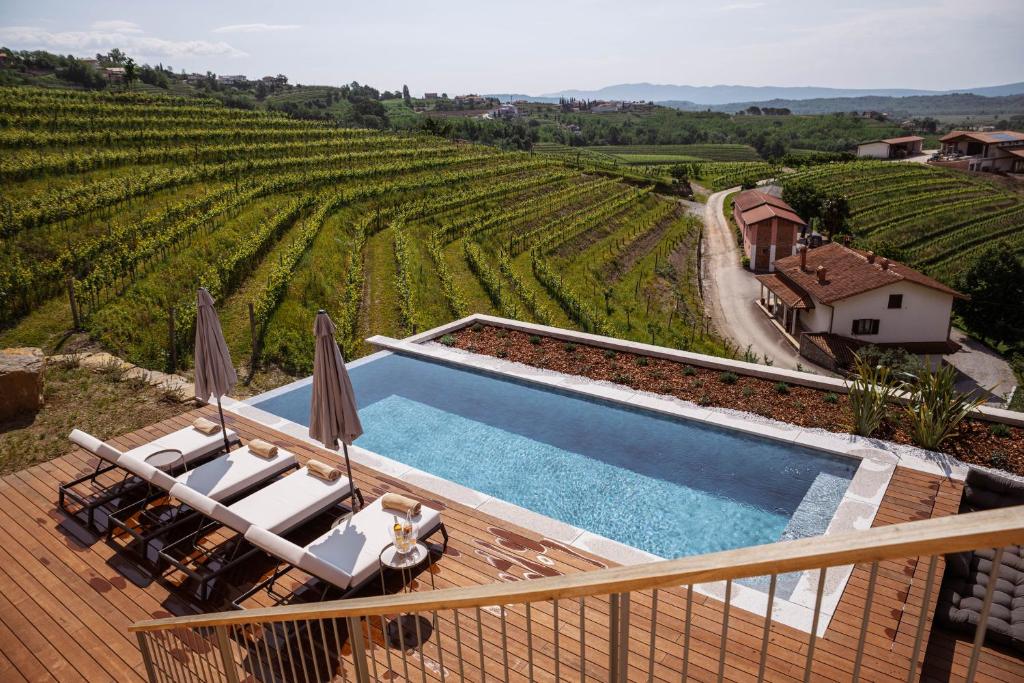 Bazén v ubytování Posestvo Ščurek wine nebo v jeho okolí