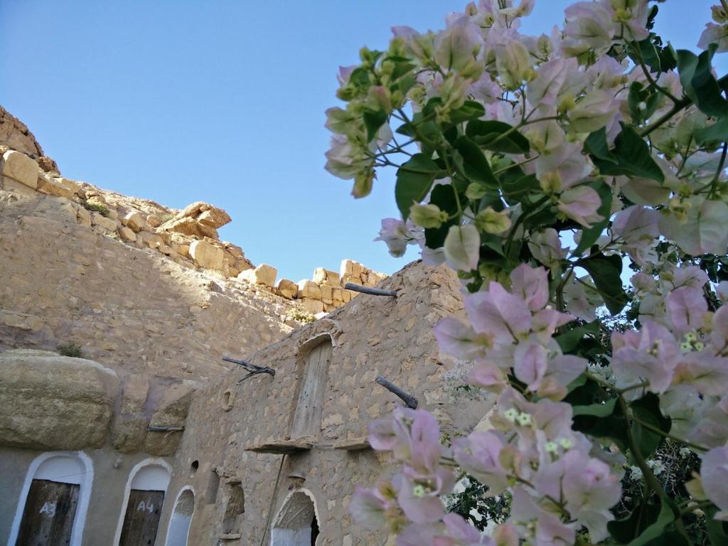 a tree with pink flowers in front of a building at Gite Douiret in Ad Duwayrāt