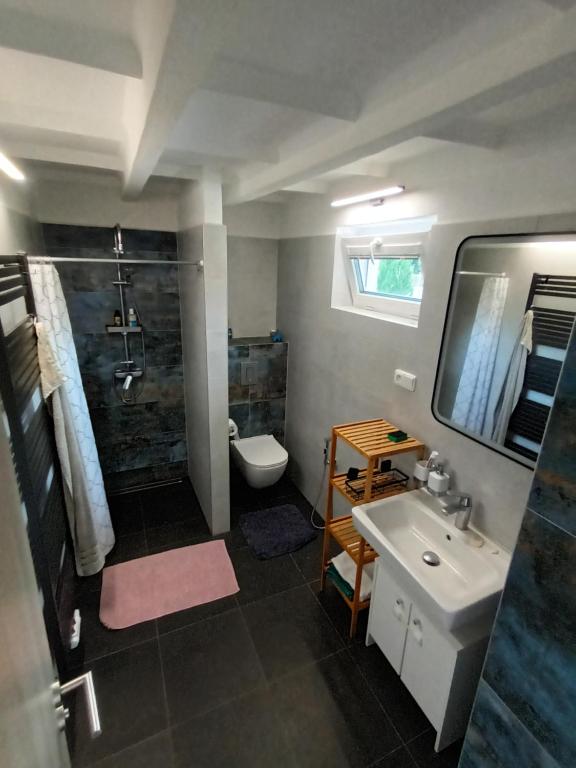 ein Bad mit einem Waschbecken, einer Dusche und einem WC in der Unterkunft Randy's House Plzeň in Pilsen