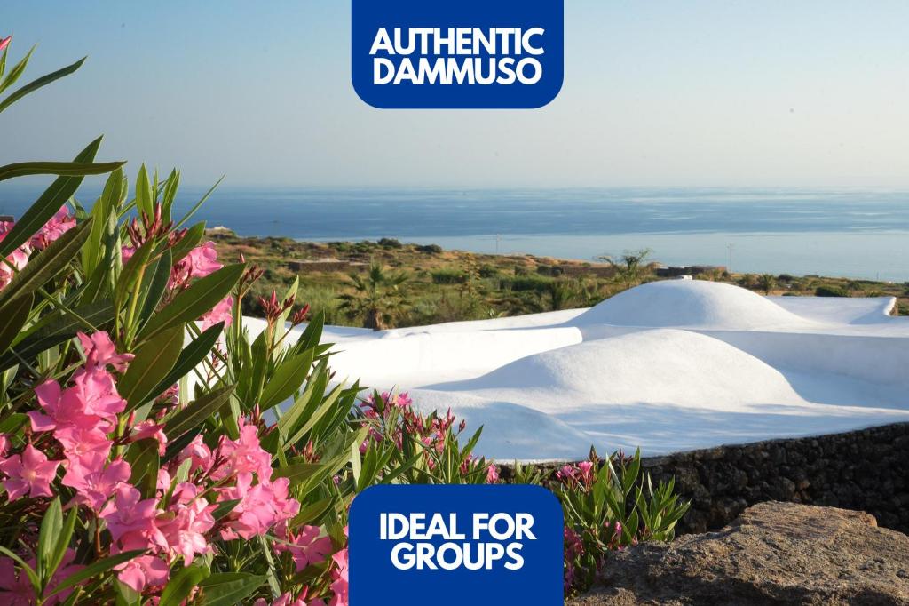 una señal que dice ideal para grupos con nieve y flores en Vineyard View, Garden & Barbecue - Authentic "Dammusi", en Pantelleria