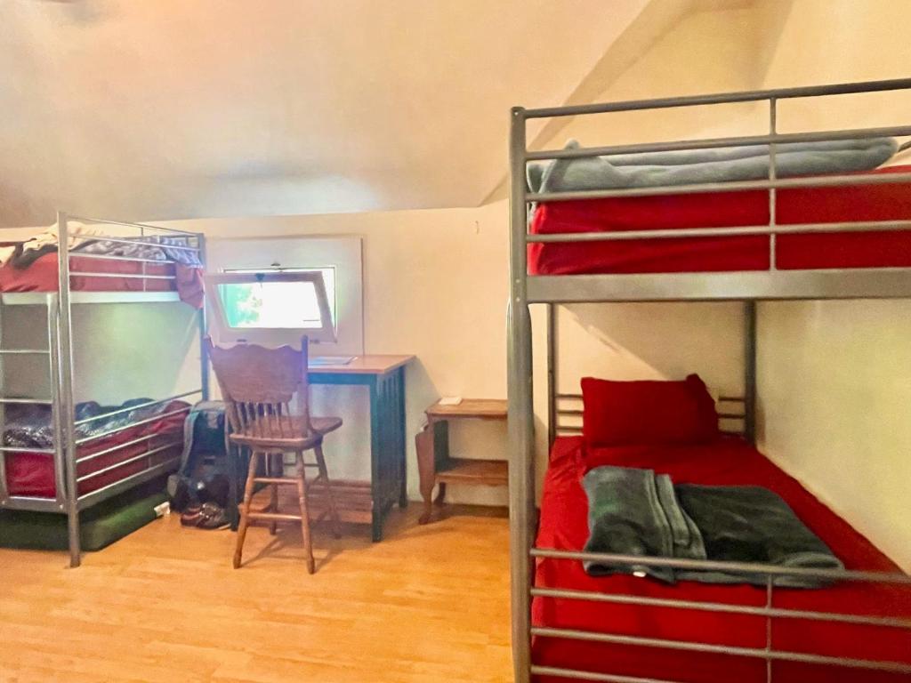 1 Schlafzimmer mit 2 Etagenbetten und einem Schreibtisch in der Unterkunft San Luis Obispo Hostel in San Luis Obispo