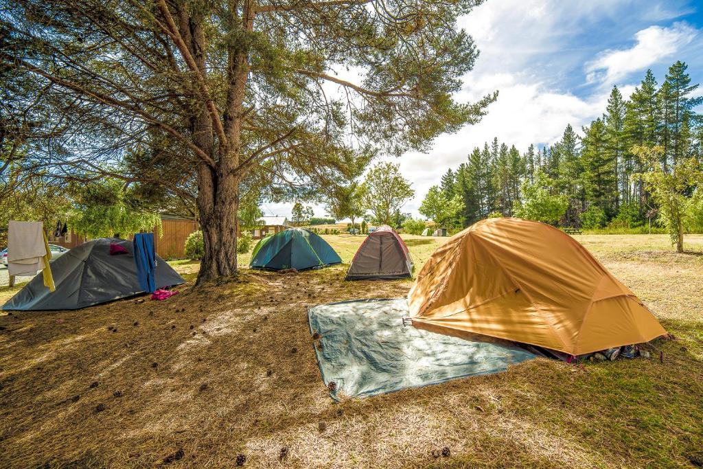 Te Anau Lakeview Holiday Park & Motels - Resim 11