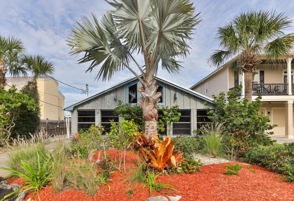 una palmera en un jardín frente a una casa en 2-2 Beachside Home With Private Pool, en New Smyrna Beach