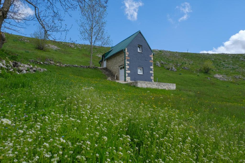 Příroda nedaleko apartmánu