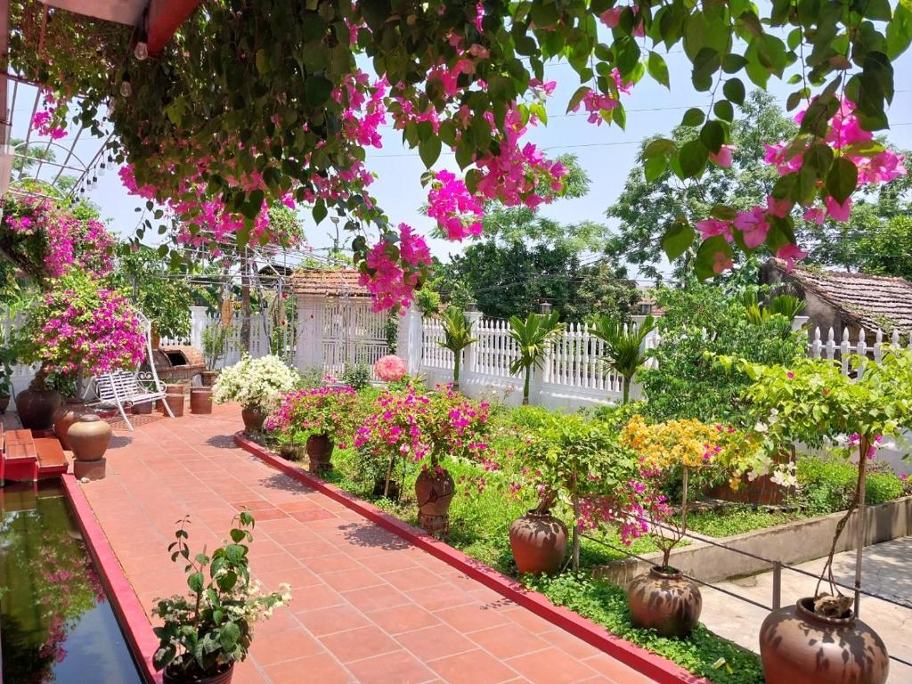 een tuin vol planten en bloemen bij Nha Xanh Homestay in Ninh Binh
