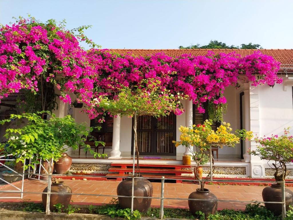 Zahrada ubytování Nha Xanh Homestay