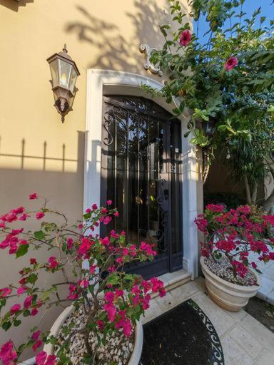 Zahrada ubytování Mediterranean Villa