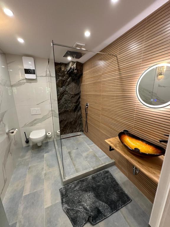 ein Bad mit einer Dusche, einem WC und einem Waschbecken in der Unterkunft Relaxen im Weindorf Mayschoß Fewo 2 in Mayschoß