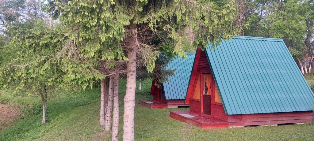 Šavnik的住宿－Etno selo Šapat，两棵树之间的红色房子,有蓝色的屋顶