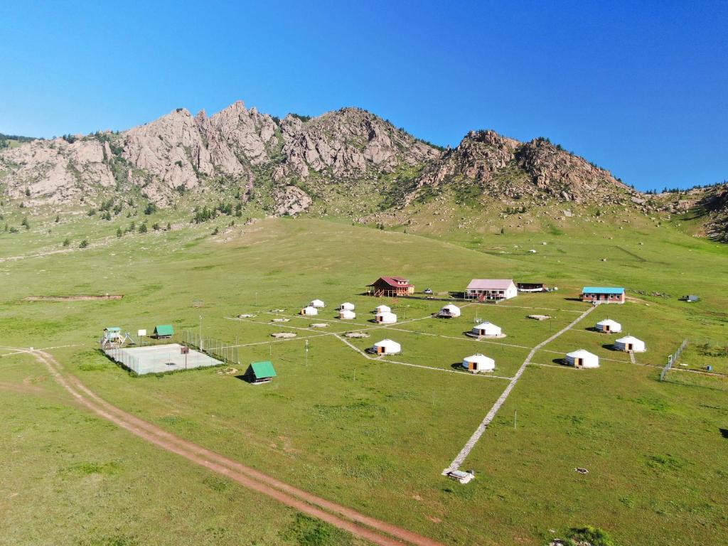 Magic Rock Tourist Camp في Nalayh: قطيع من الأغنام ترعى في حقل على تلة