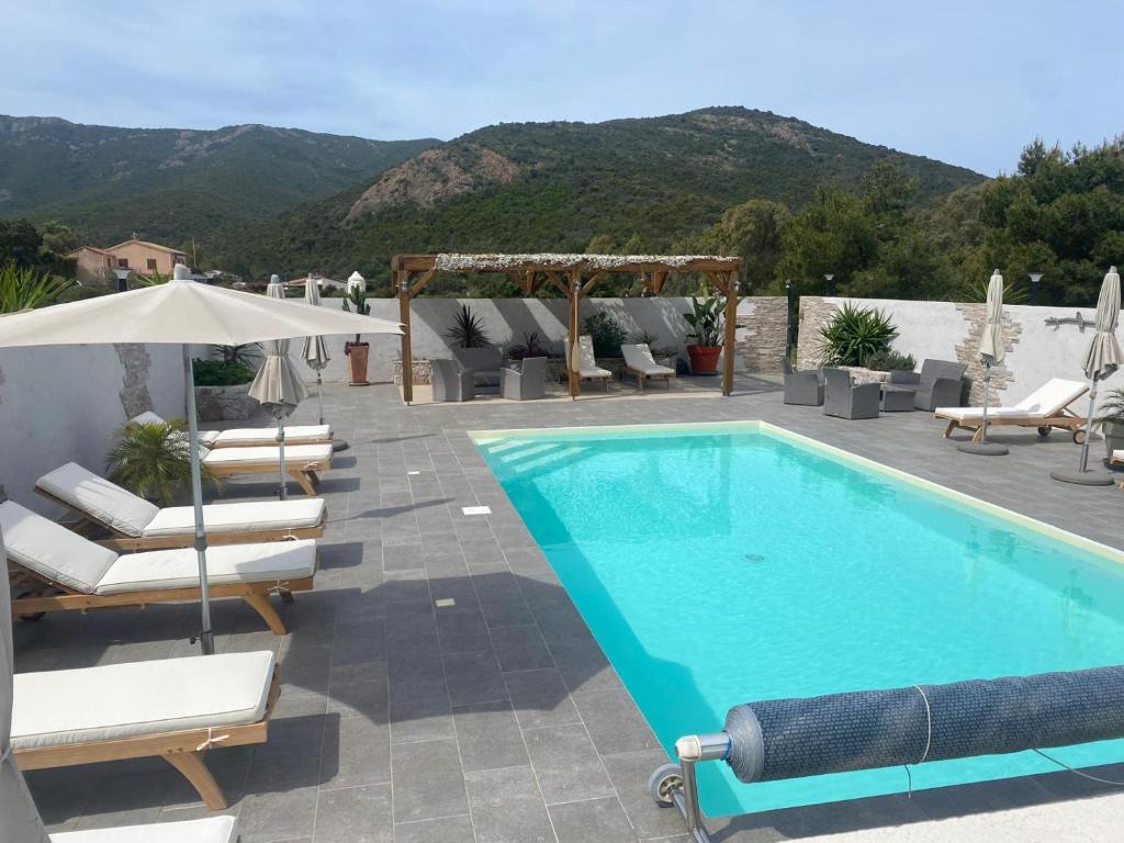 einen Pool mit Liegestühlen und einem Sonnenschirm in der Unterkunft Résidence Casa TOGA in Galeria