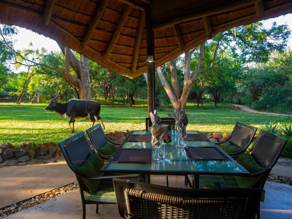 a table and chairs with a cow walking in the grass at Kubu Safari Lodge in Hoedspruit