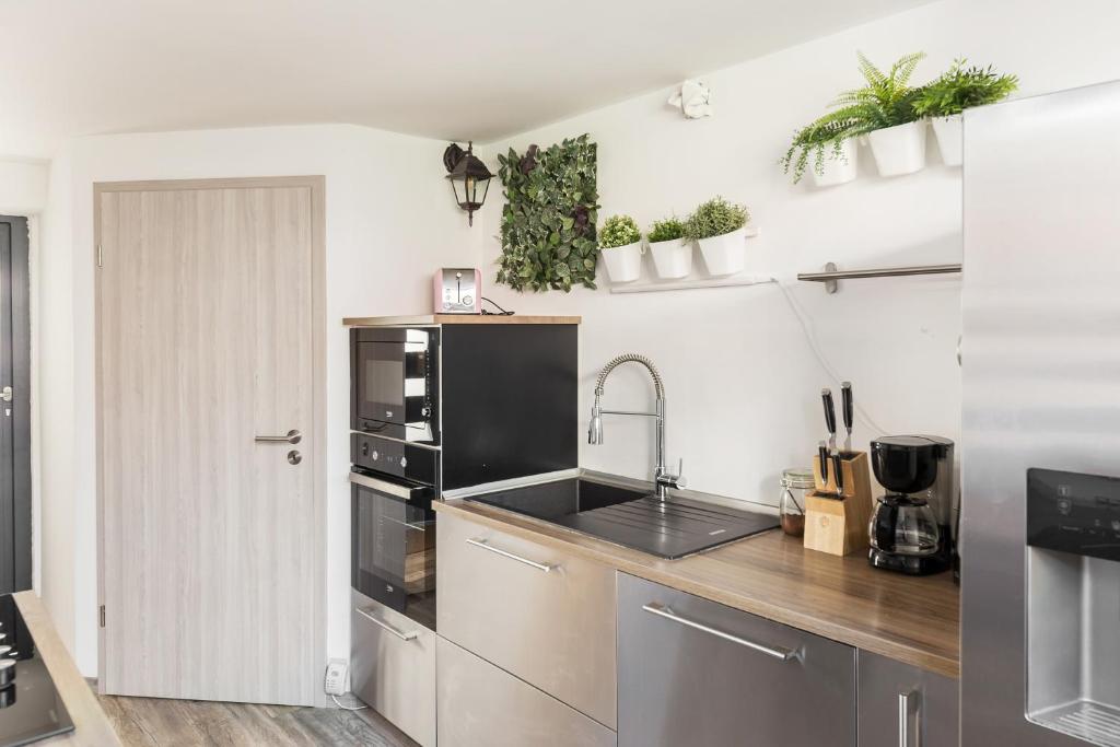Apartments Rok - Appartamento Standard