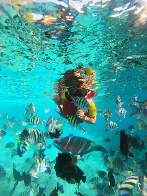 une personne dans l’eau avec un groupe de poissons dans l'établissement The Hawk's Nest Resort, à Sabang