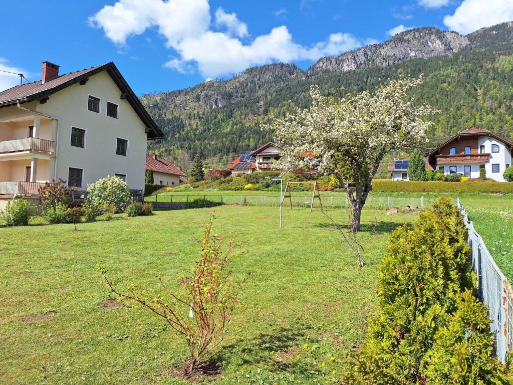 un patio verde con una casa y un árbol en Apartment in ski area in Kötschach-Mauthen, en Laas
