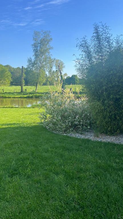 un arbusto en la hierba junto a un cuerpo de agua en La petite maison, en Plélan-le-Petit