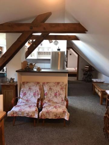 Kuchyň nebo kuchyňský kout v ubytování Apartmán Bechyně