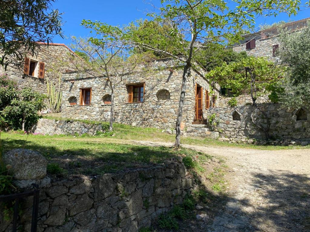 een oud stenen huis met een boom ervoor bij Résidence Casa Di Roc in Urtaca